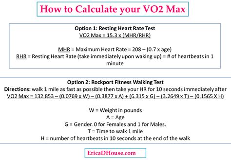 give tester a RPE when asked (1-10). . Submaximal vo2 test calculator